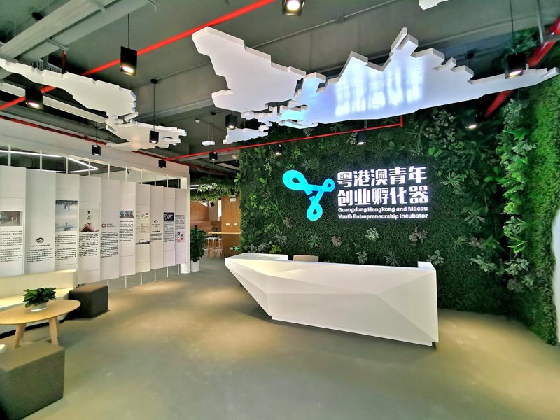 创业孵化:点燃梦想的新引擎